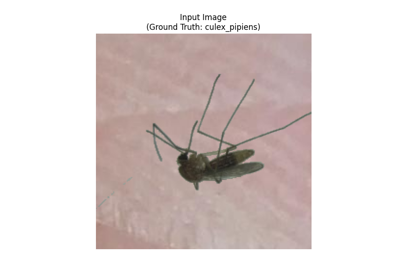 Classifying Mosquito Species